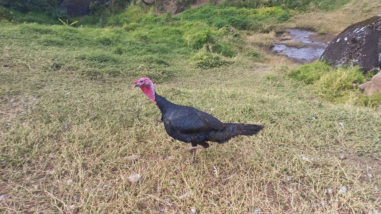 Peru  - Foto 4