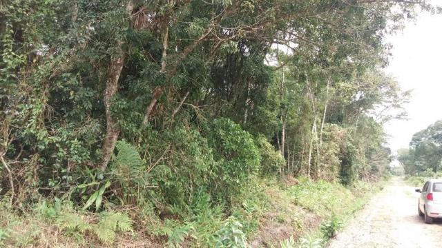 Terreno à venda em itapoá medindo 12 x 30, total 360 m² por r$ 60.000 - farol do itapoá ii - Foto 7