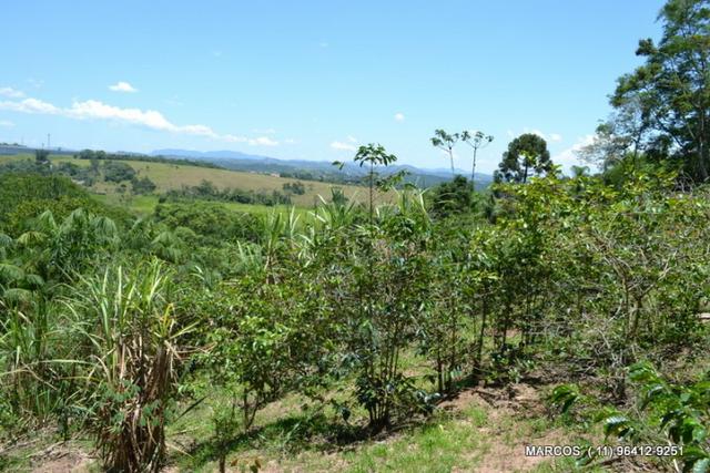 Chácara com 10.000 m² em Mogi das Cruzes - Foto 13