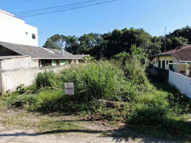 Terreno à venda, 307 m² por r$ 109.500,00 - santa terezinha - itapoá/sc - Foto 2