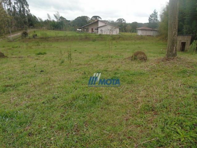 Chácara condomínio fechado são josé dos pinhais - Foto 20