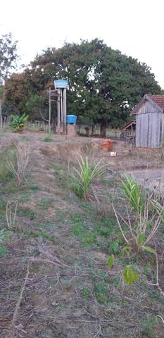 Sitio de 9.7 alk pra pasto vendo - Foto 7
