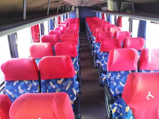 Onibus - Foto 7