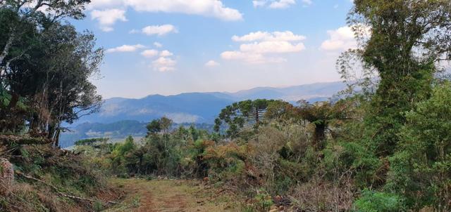 Sitio em Urubici/ chácara em Urubici - Foto 4