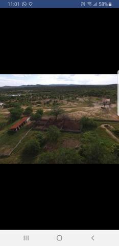 Fazenda - Foto 3