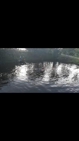 Chácara - Foto 3