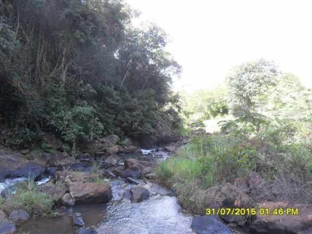1683/Terreno de 3,19 ha com linda cachoeira e ótima localização - Foto 13