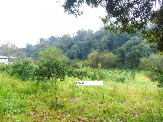 Chácara em Santos Reis em Montenegro - 10 - Foto 16