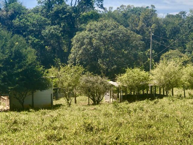 Ótima chácara em Bela Vista de Goiás - Foto 13