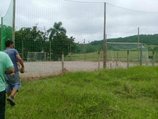Lindo sitio Imaruí figueira grande - Foto 6