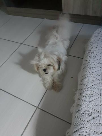 Vendo - Foto 2