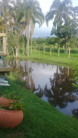 Lindo sitio Imaruí figueira grande - Foto 20