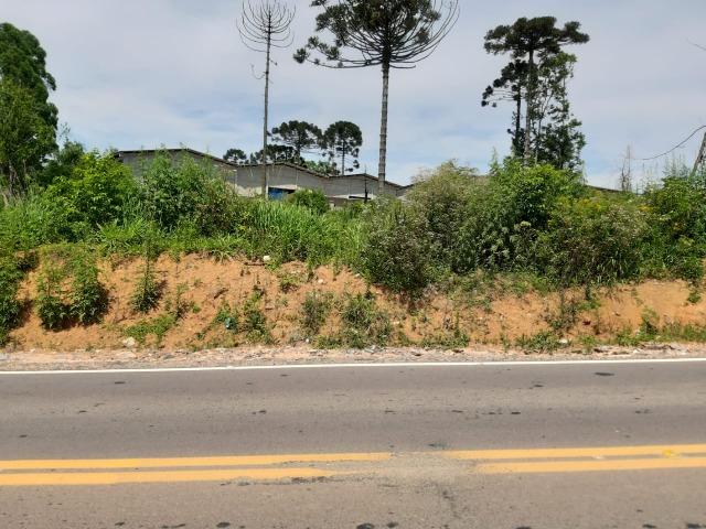 Área Localizada a apenas 120 metros da Rodovia do Xisto/Araucária - Foto 7