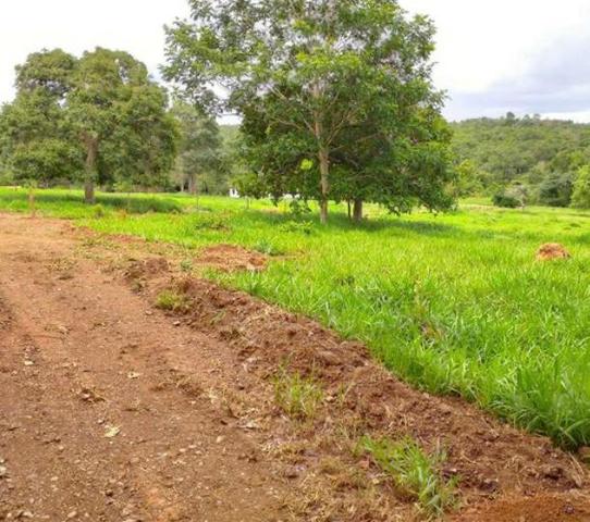 Chácara de 20mil Mt à venda a 80 km de Goiânia - Foto 9