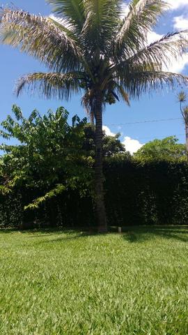 Vendo Linda Chácara Na Entrada Da Cidade-Planaltina Goiás - Foto 13