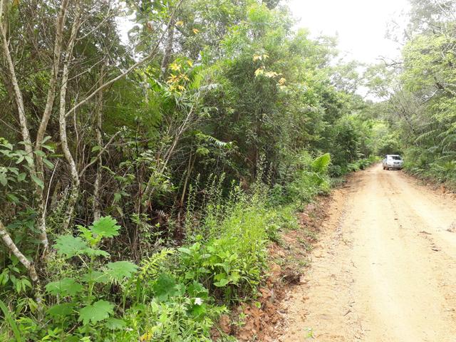 VENDO LINDA CHÁCRINHA DE 2.000m2° NA REPRESA DO CAPIVARI !!! - Foto 15