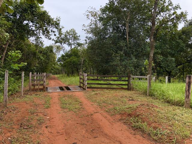Ótima chácara em Bela Vista de Goiás - Foto 11