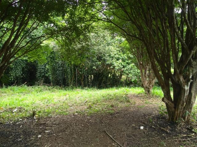 03* Ultima unidade 1000m² Arujá! - Foto 13