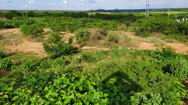 Lotes as margens da PE 430, Excelente localização - Foto 4