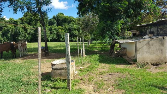 JP 013 -Ótima fazenda colado no Gama,excelente localização - Foto 10