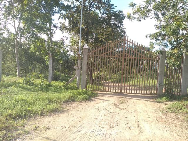 Oportunidade - Foto 15