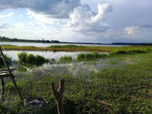 Fazenda Paudarco no Piauí - Foto 7