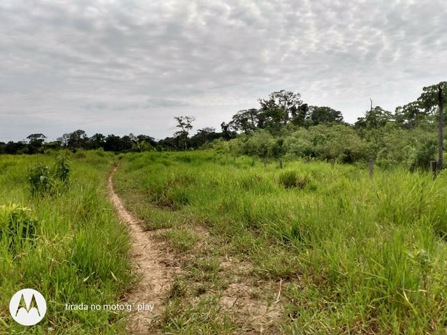 Colônia com 100 hequitare de terra por 160.000 - Foto 3