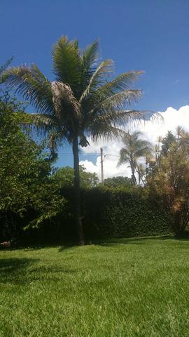 Vendo Linda Chácara Na Entrada Da Cidade-Planaltina Goiás - Foto 6