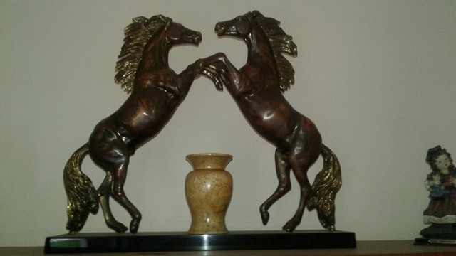 Cavalos selvagens