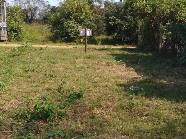 Vendo 3 lotes de divisa no Porto das barcas Aperibé-Rj - Foto 2