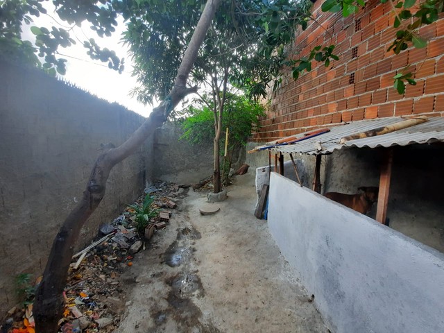 Casa reformada com quintal no Nordeste 1 perto da Santa - Guarabira - Foto 15