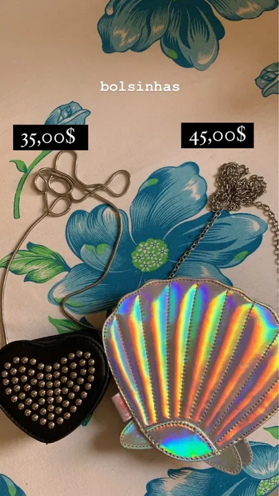 bolsa de concha