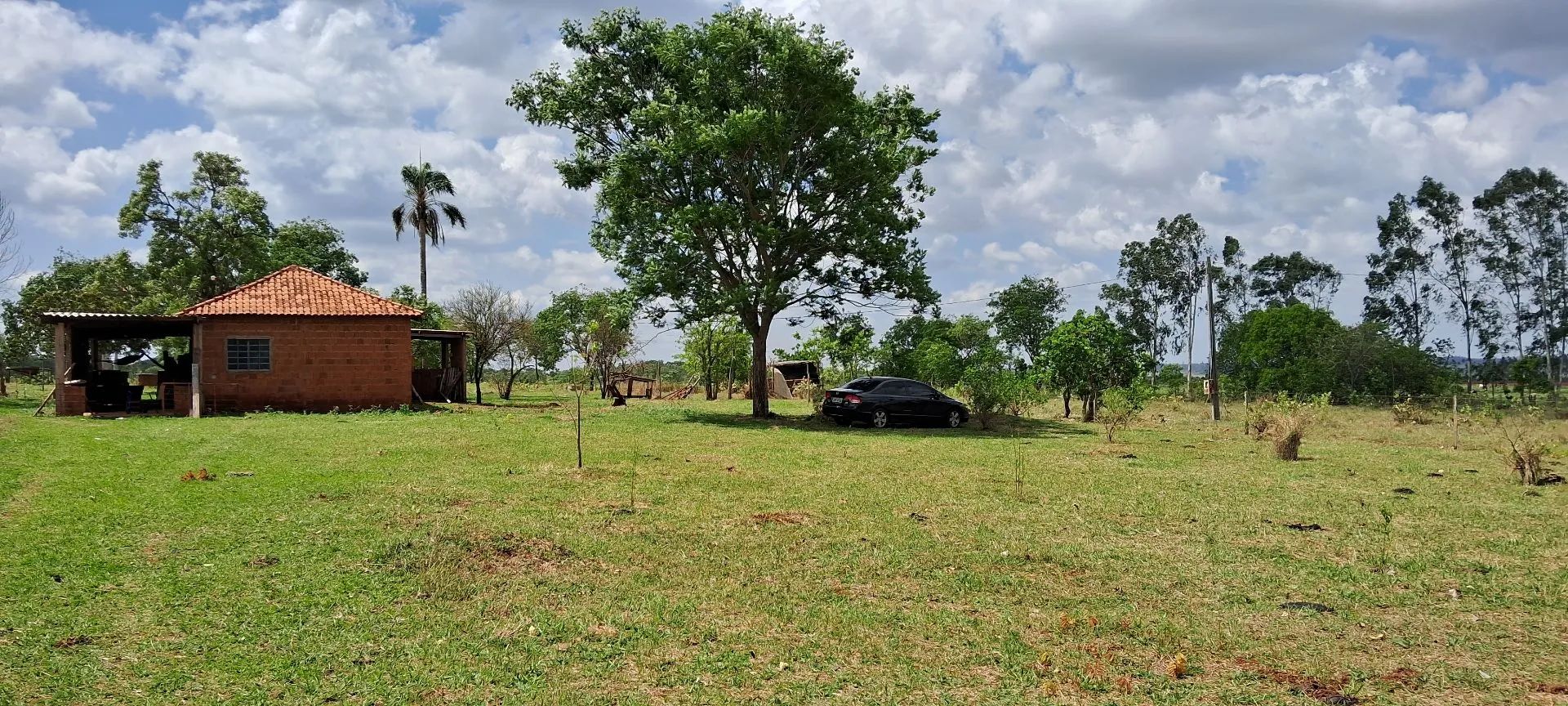 foto - Campo Grande - Anhandui