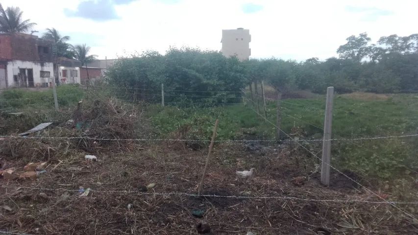 foto - Jaboatão dos Guararapes - Barra de Jangada