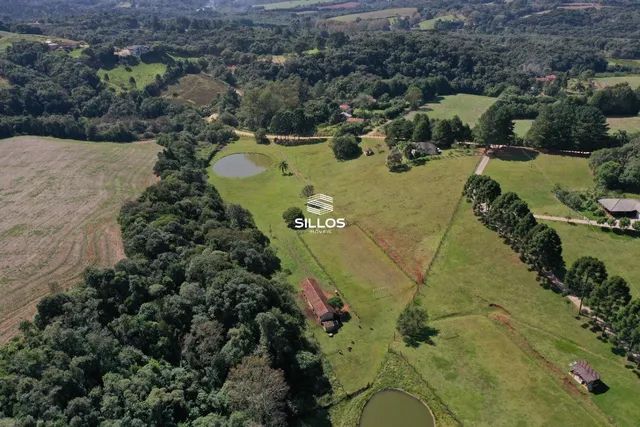 Chácara com 22.000 m² à venda em Campo Largo/PR - Foto 3