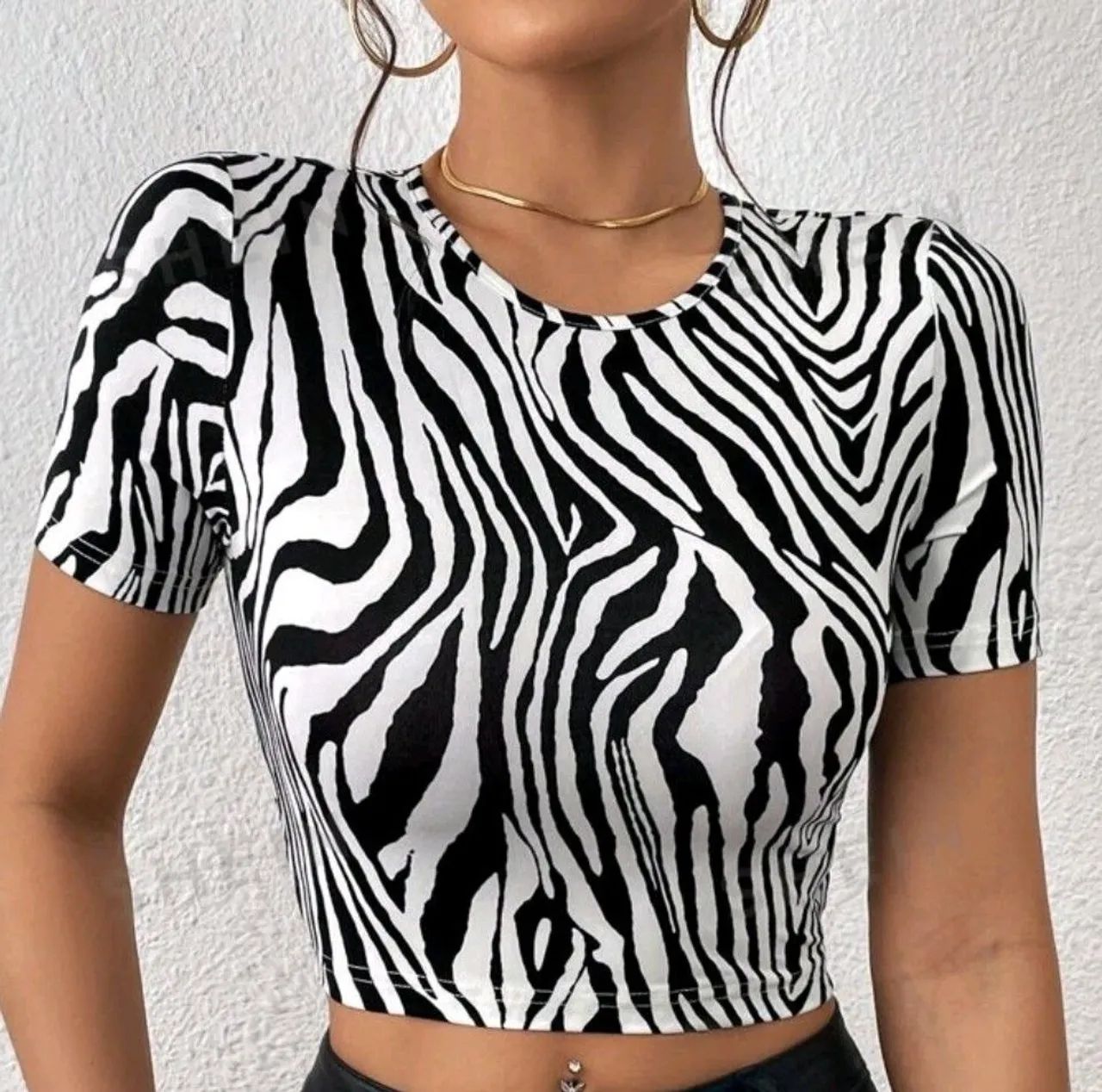 Conjunto Zebra