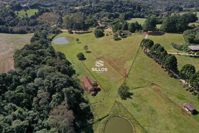 Chácara com 22.000 m² à venda em Campo Largo/PR - Foto 10