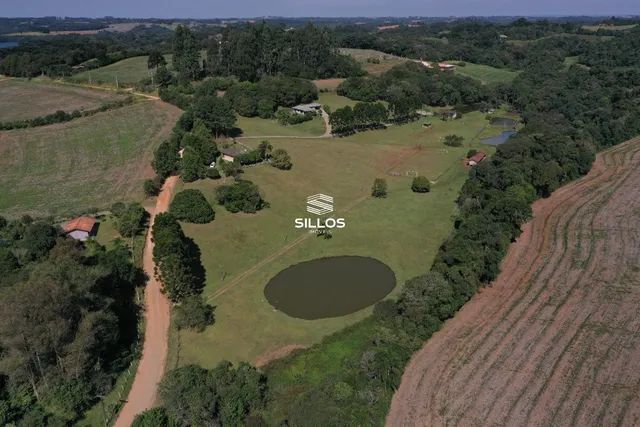 Chácara com 22.000 m² à venda em Campo Largo/PR - Foto 8