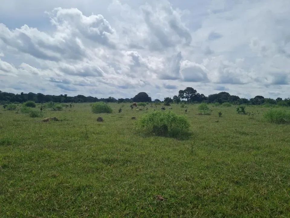Fazenda para Venda em Araguaçu, Zona Rural