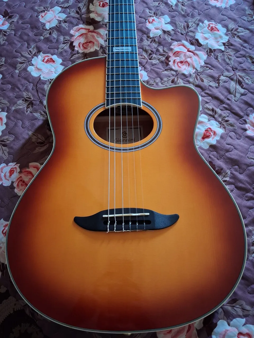 Violão Giannini