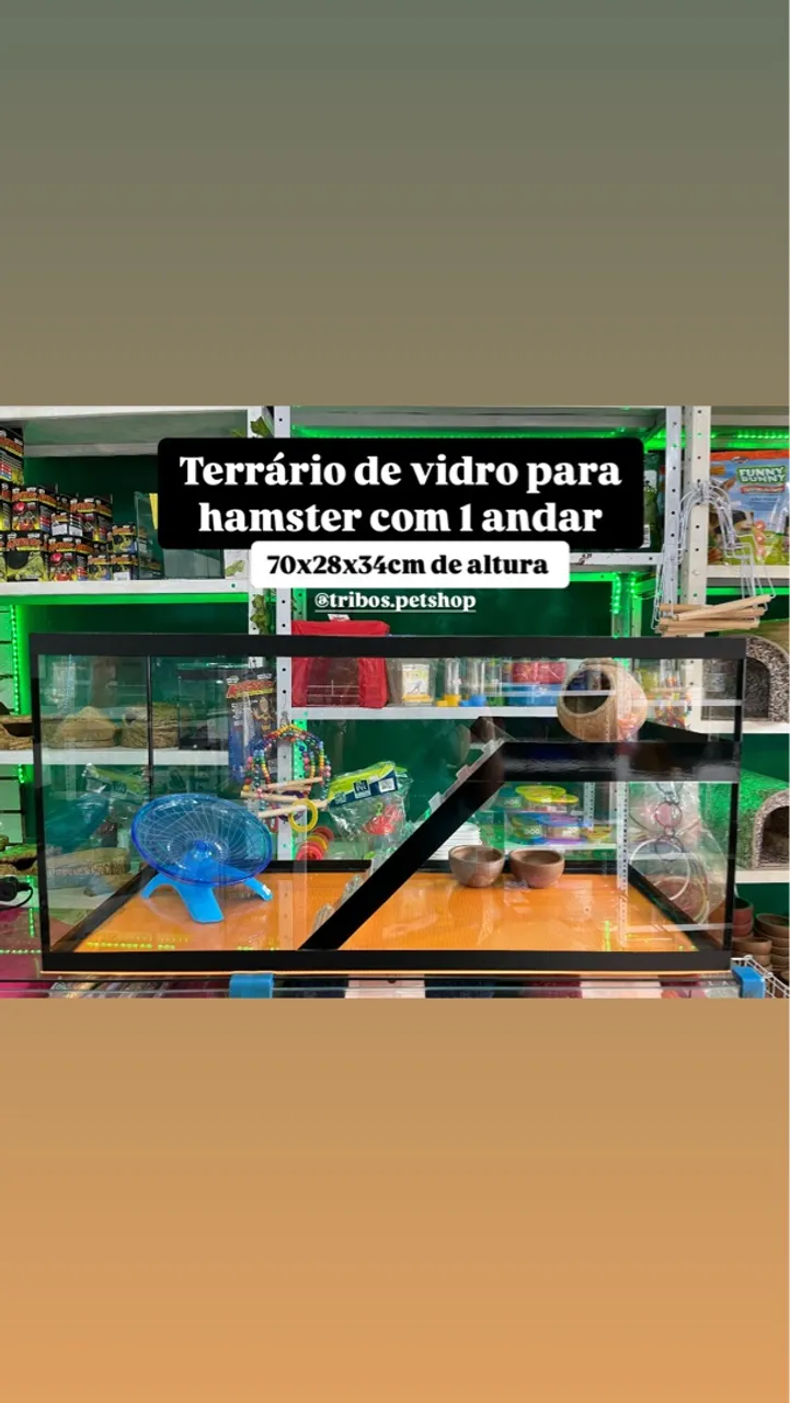 Terrário de vidro para hamster com 1 andar