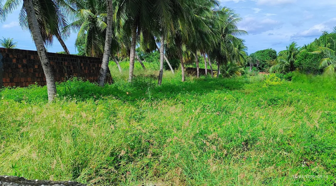 Terreno com 4500 metros quadrados em Lagoa Redonda - Fortaleza - CE