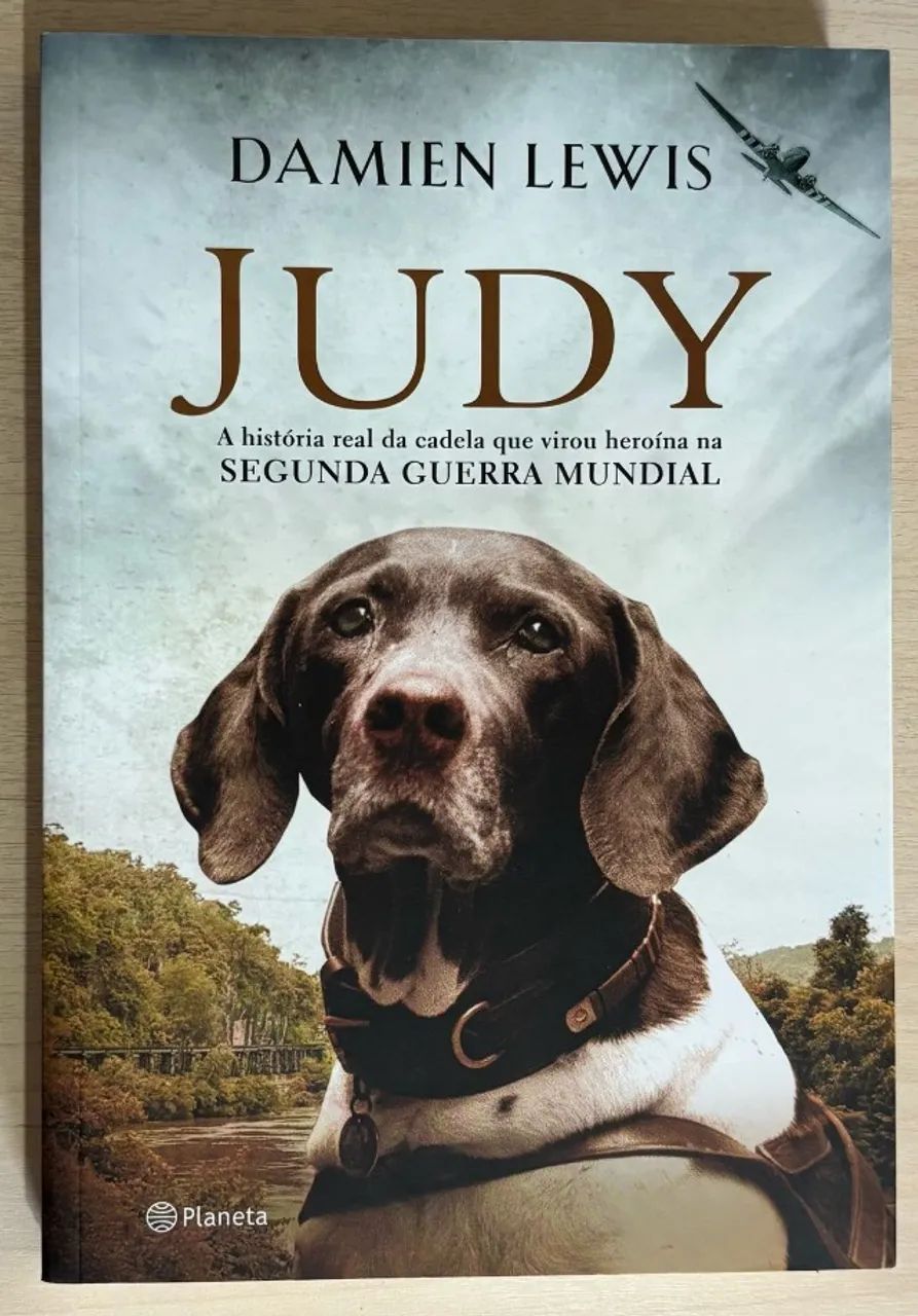 Judy - Damien Lewis