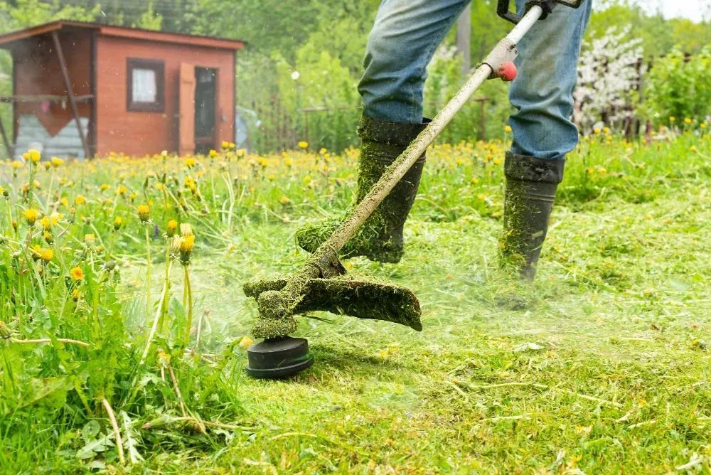 Reparos em geral - Eletricista, Hidráulico, Pintor e muito mais! - Foto 3