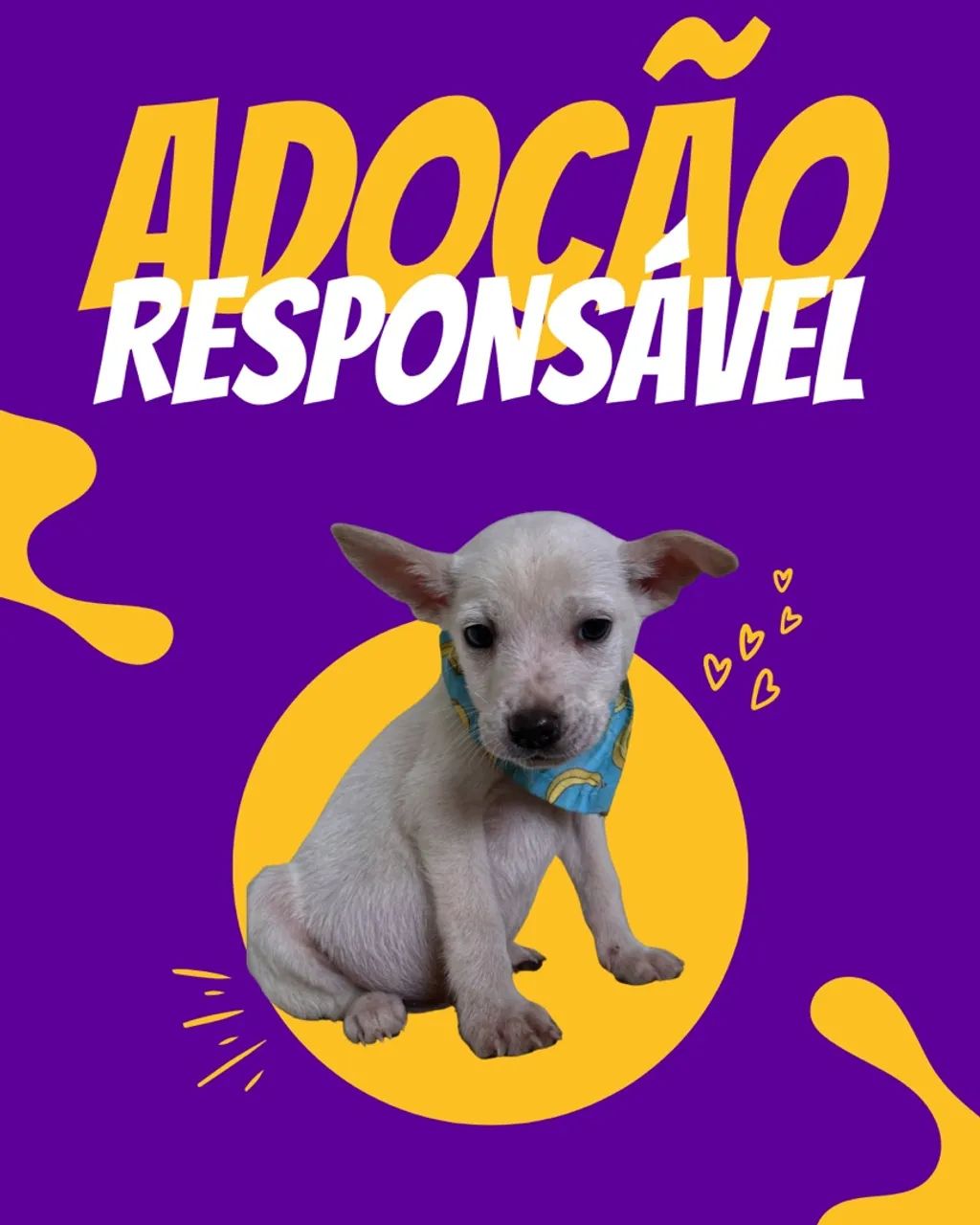 Adote um filhote com amor! - Foto 5