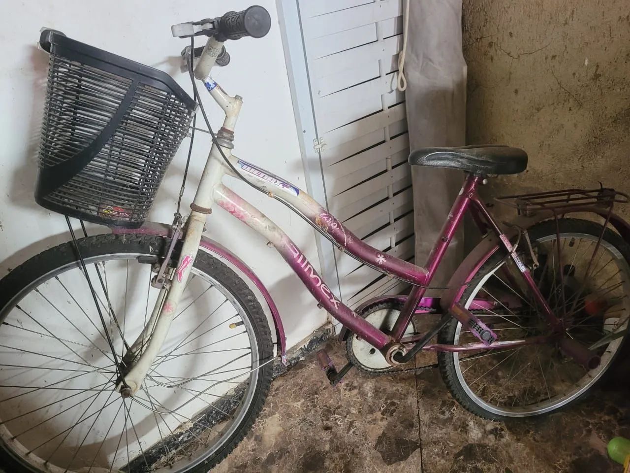 Bicicleta Feminina Aro 20