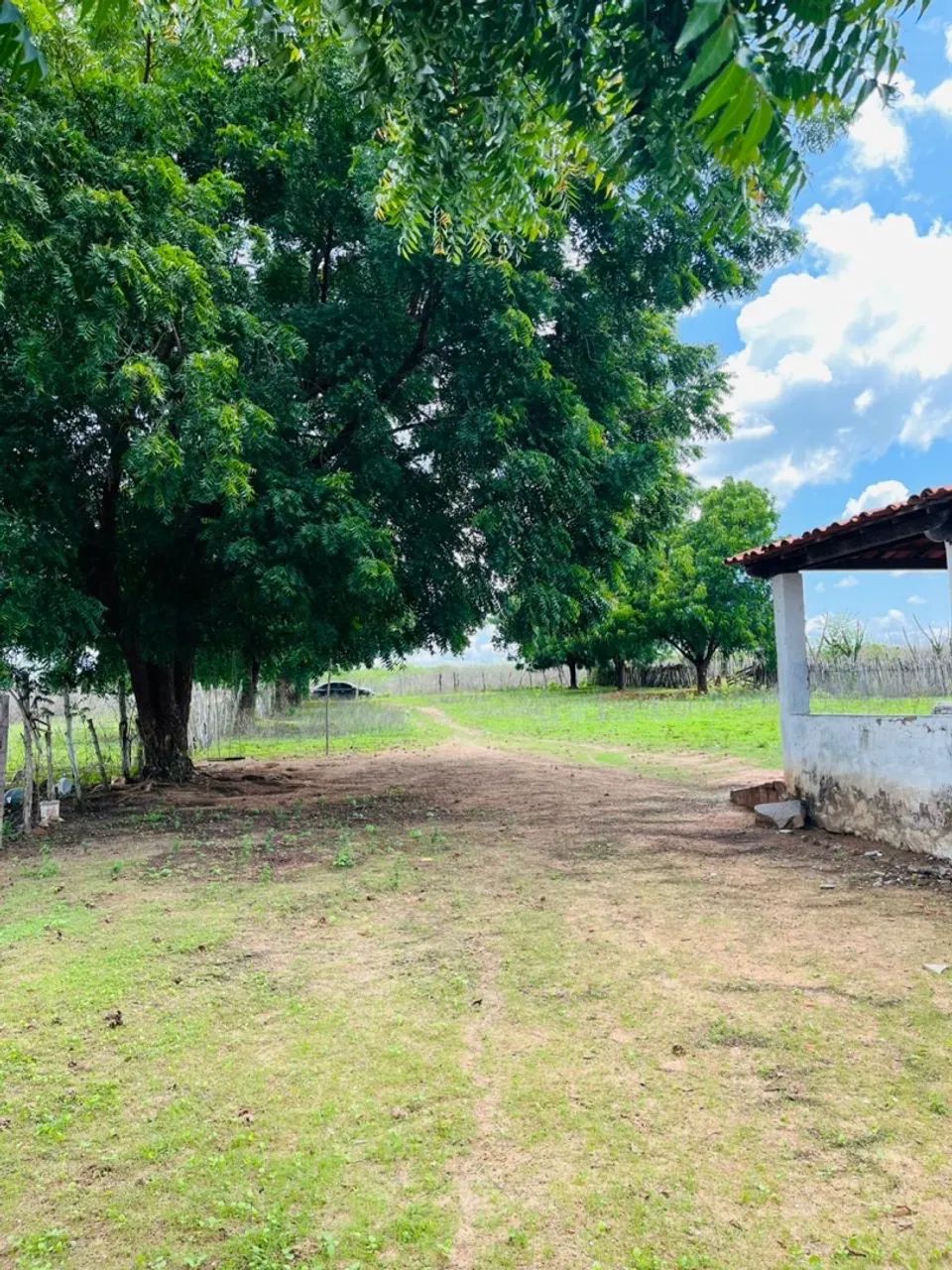 FAZENDA PARAISO QUIXADÁ - Foto 4