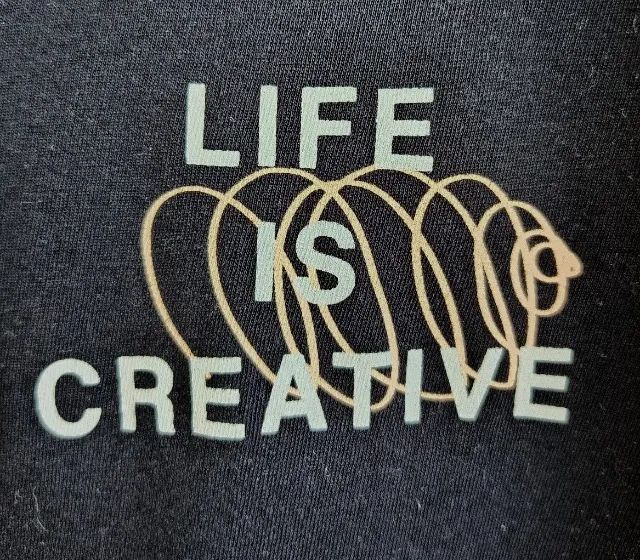 Camiseta Foxton Life is Creative - GG - Foto 4
