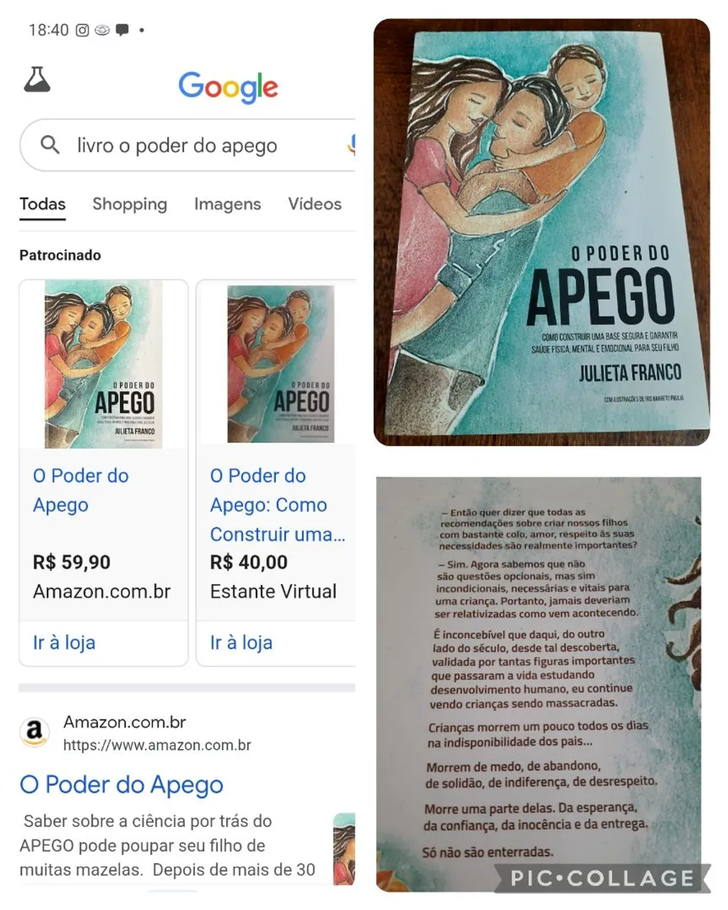O Poder do Apego - Julieta Franco