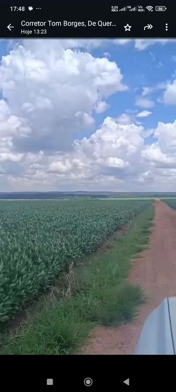 Fazenda de arrendamento 2.340 hec plantando   - Foto 5